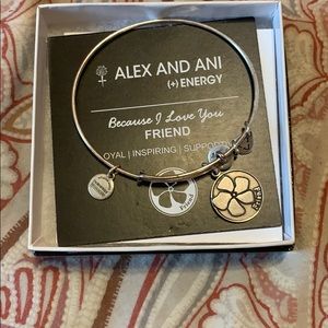 Alex and Ani friend bracelet